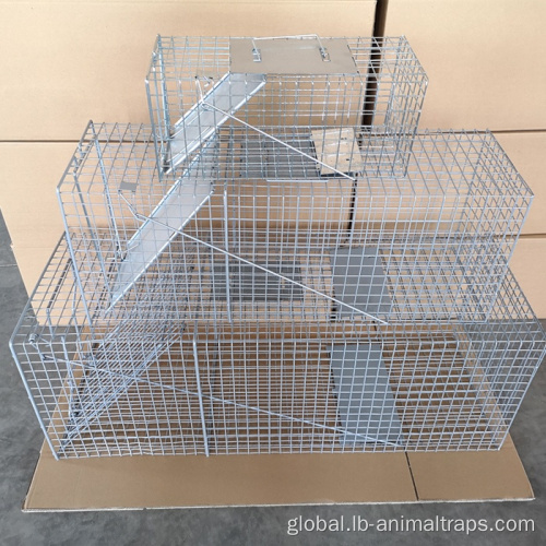 China New Arrival Hot Sale of Animal Trap Cage Factory